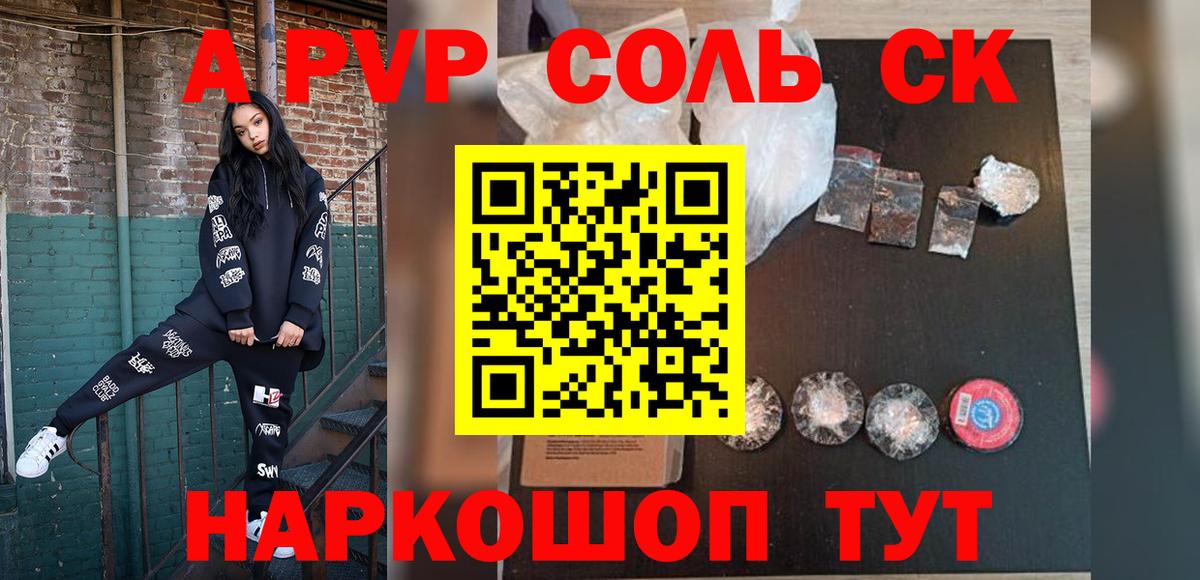 A PVP СК Зеленогорск