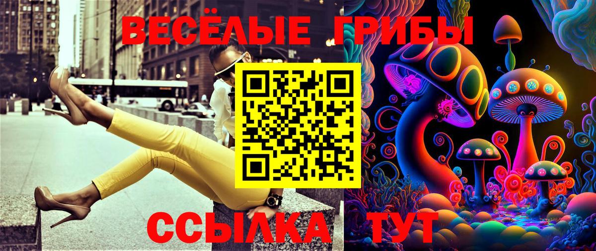 Псилоцибиновые грибы Cubensis  Вход с VPN  Зеленогорск 