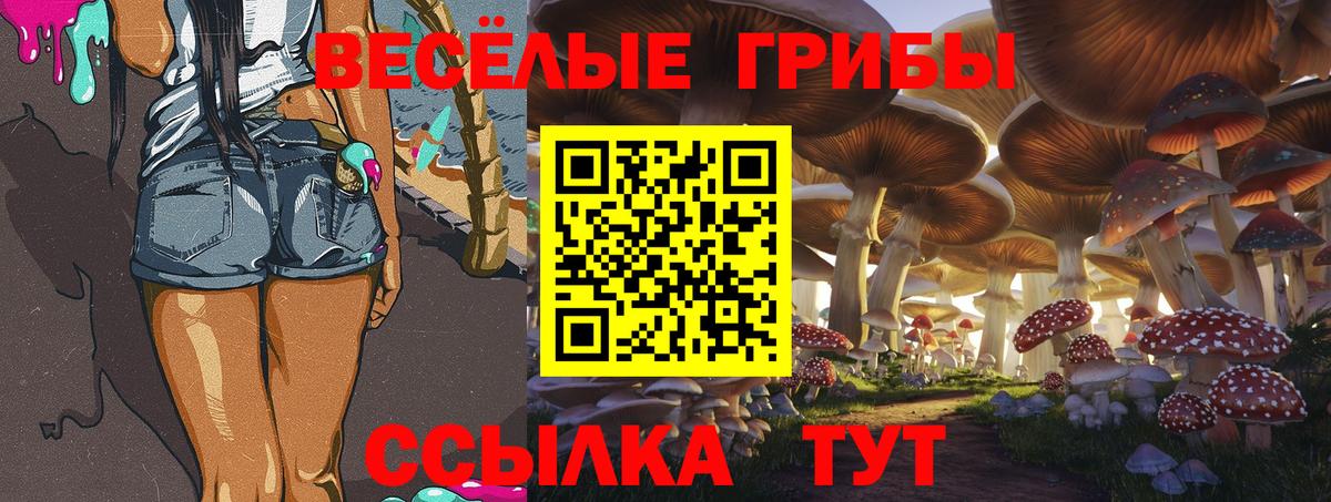 Псилоцибиновые грибы GOLDEN TEACHER Зеленогорск